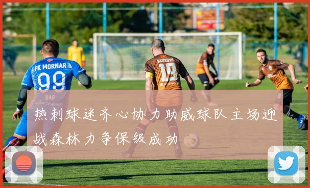 热刺球迷齐心协力助威球队主场迎战森林力争保级成功