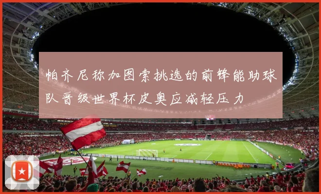 帕齐尼称加图索挑选的前锋能助球队晋级世界杯皮奥应减轻压力