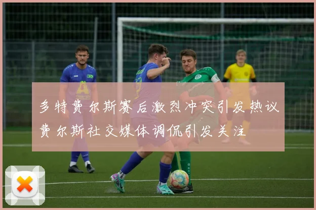 多特费尔斯赛后激烈冲突引发热议费尔斯社交媒体调侃引发关注